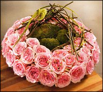 www.floristic.ru - .  