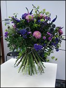 www.floristic.ru - .   