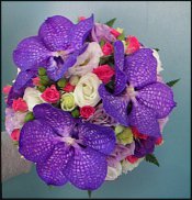 www.floristic.ru - .  .