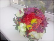 www.floristic.ru - .  .