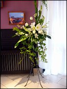 www.floristic.ru - .  .