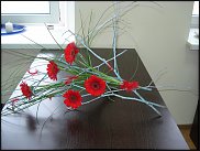 www.floristic.ru - .    3   "", 