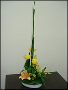 www.floristic.ru - .    3   "", 