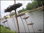 www.floristic.ru - . Land Art