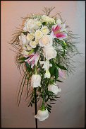 www.floristic.ru - .  .