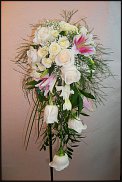 www.floristic.ru - .  .