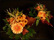 www.floristic.ru - .       ...