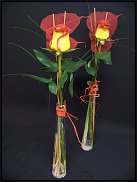 www.floristic.ru - .       ...