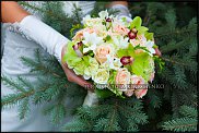 www.floristic.ru - .  .