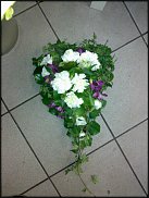 www.floristic.ru - .  