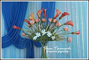 www.floristic.ru - .  .