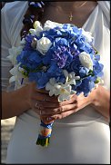 www.floristic.ru - .  .