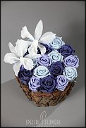 www.floristic.ru - .     -   !