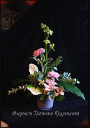 www.floristic.ru - .   