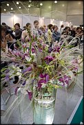 www.floristic.ru - . "Russian Cup" -      2012.