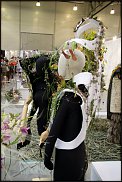 www.floristic.ru - . "Russian Cup" -      2012.