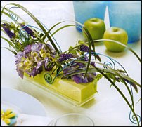 www.floristic.ru - .  