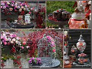 www.floristic.ru - .  .