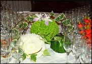 www.floristic.ru - .  - 