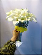 www.floristic.ru - .  .