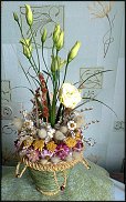 www.floristic.ru - .  .