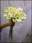 www.floristic.ru - .  .