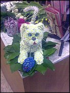 www.floristic.ru - .   ....