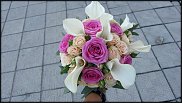 www.floristic.ru - .  .