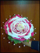 www.floristic.ru - . 