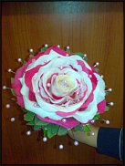 www.floristic.ru - . 