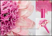 www.floristic.ru - . 