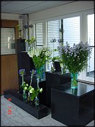 www.floristic.ru - .       - ?