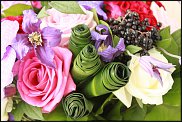 www.floristic.ru - .      