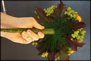 www.floristic.ru - .  