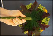 www.floristic.ru - .  