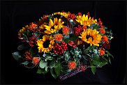 www.floristic.ru - . ,  .