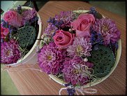 www.floristic.ru - .       ...