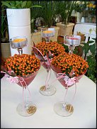 www.floristic.ru - .       ...