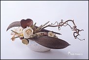 www.floristic.ru - .   .