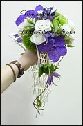 www.floristic.ru - . Moniek Vanden Berghe