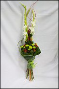 www.floristic.ru - .  