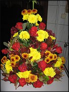 www.floristic.ru - .  