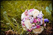 www.floristic.ru - .  .