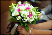 www.floristic.ru - .  .