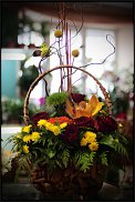 www.floristic.ru - .       ...