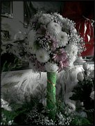 www.floristic.ru - . !!!!!