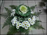 www.floristic.ru - .  .