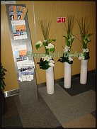 www.floristic.ru - .   .