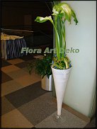 www.floristic.ru - .   .