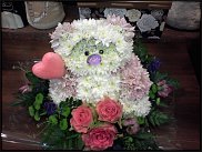 www.floristic.ru - .   ....